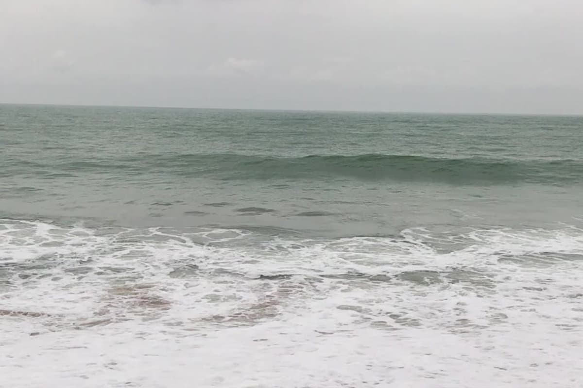 Cap 290 - Image 6