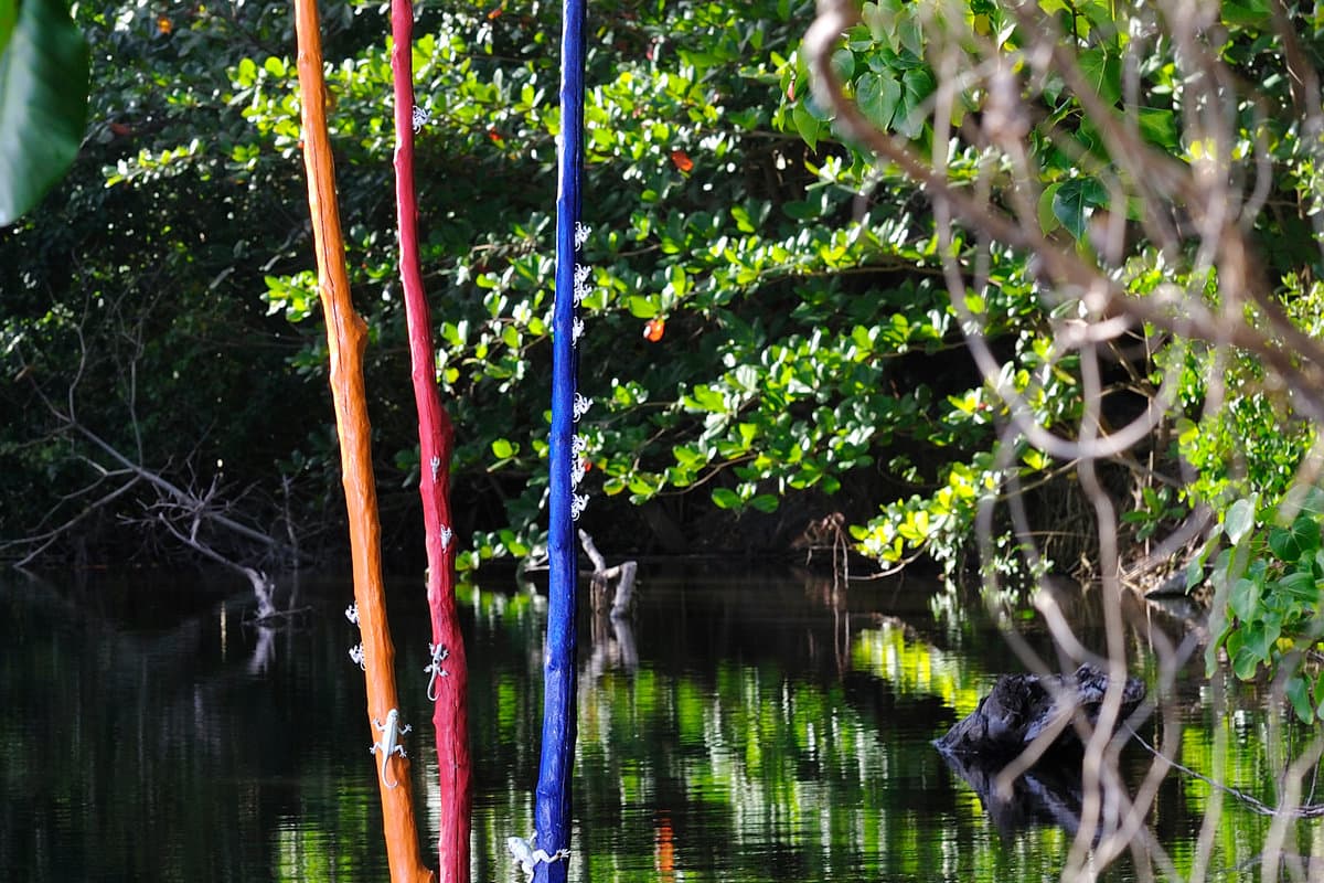 Diamant Swamp - Image 3