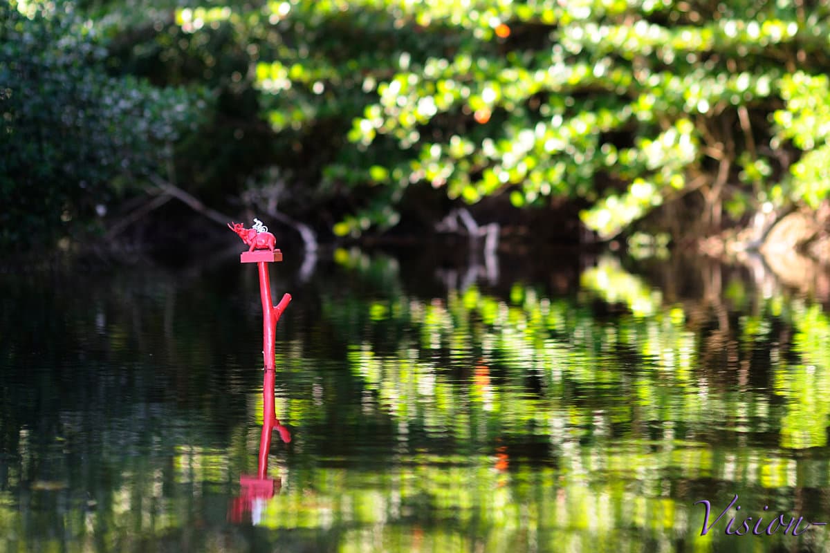 Diamant Swamp - Image 4