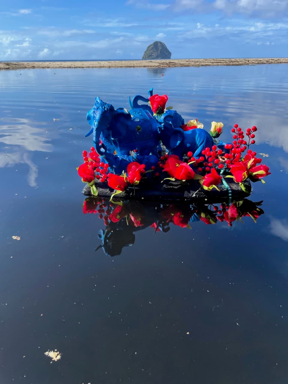 Diamant Swamp